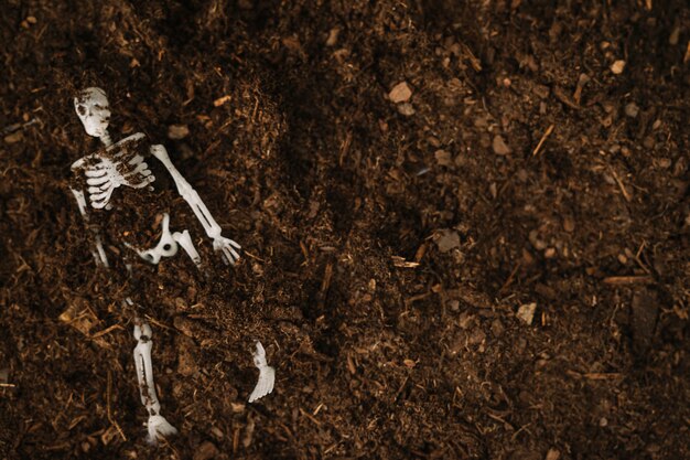 Ossada humana é encontrada em Erechim. No final da manhã desta terça-feira, 20, uma ossada humana foi localizada no interior de Erechim.