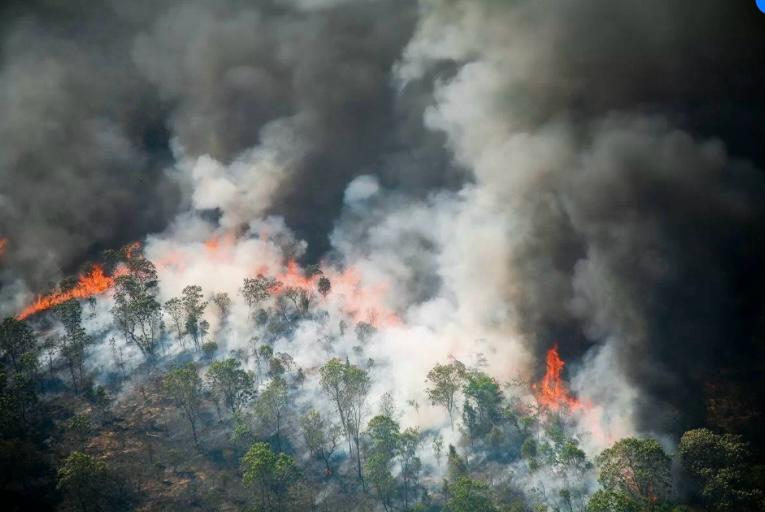 A Amazônia registrou 3.158 focos de queimadas em fevereiro deste ano. Fevereiro teve recorde histórico de queimadas na Amazônia