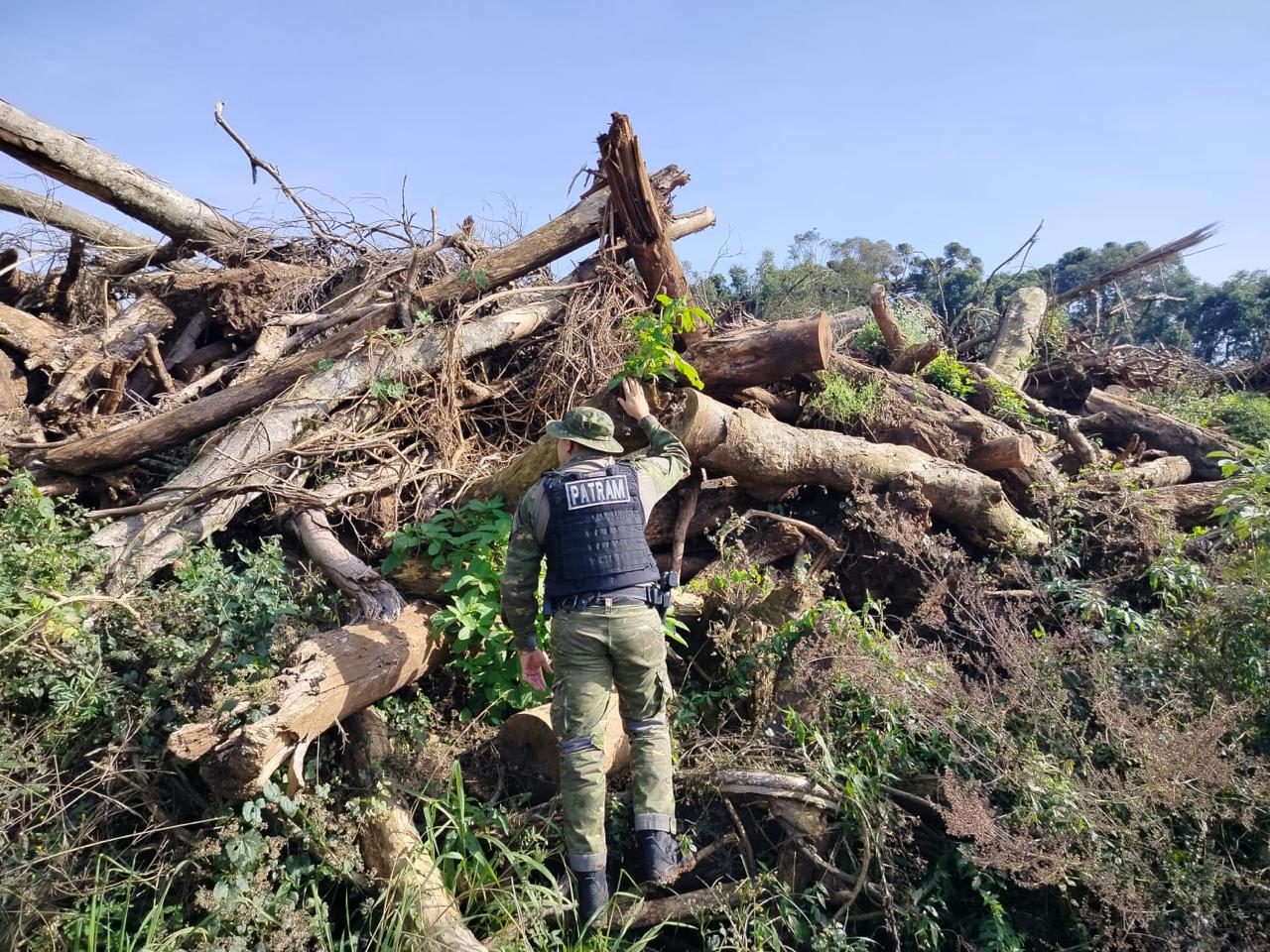 Brigada Militar flagra 74.000 metros quadrados de destruição de vegetação nativa em Gentil. O proprietário foi identificado e responderá.