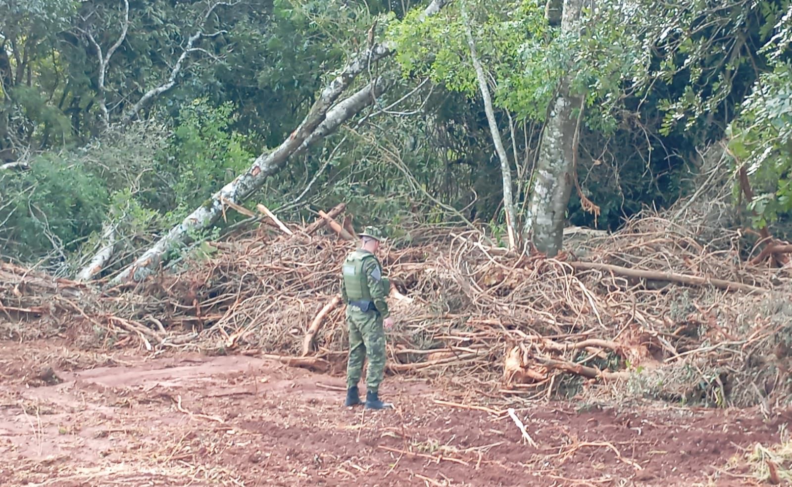 A Brigada Militar, por meio do 3º Batalhão Ambiental, identificou nesta quarta (28), crimes contra a flora nos municípios de Casca e Coxilha.