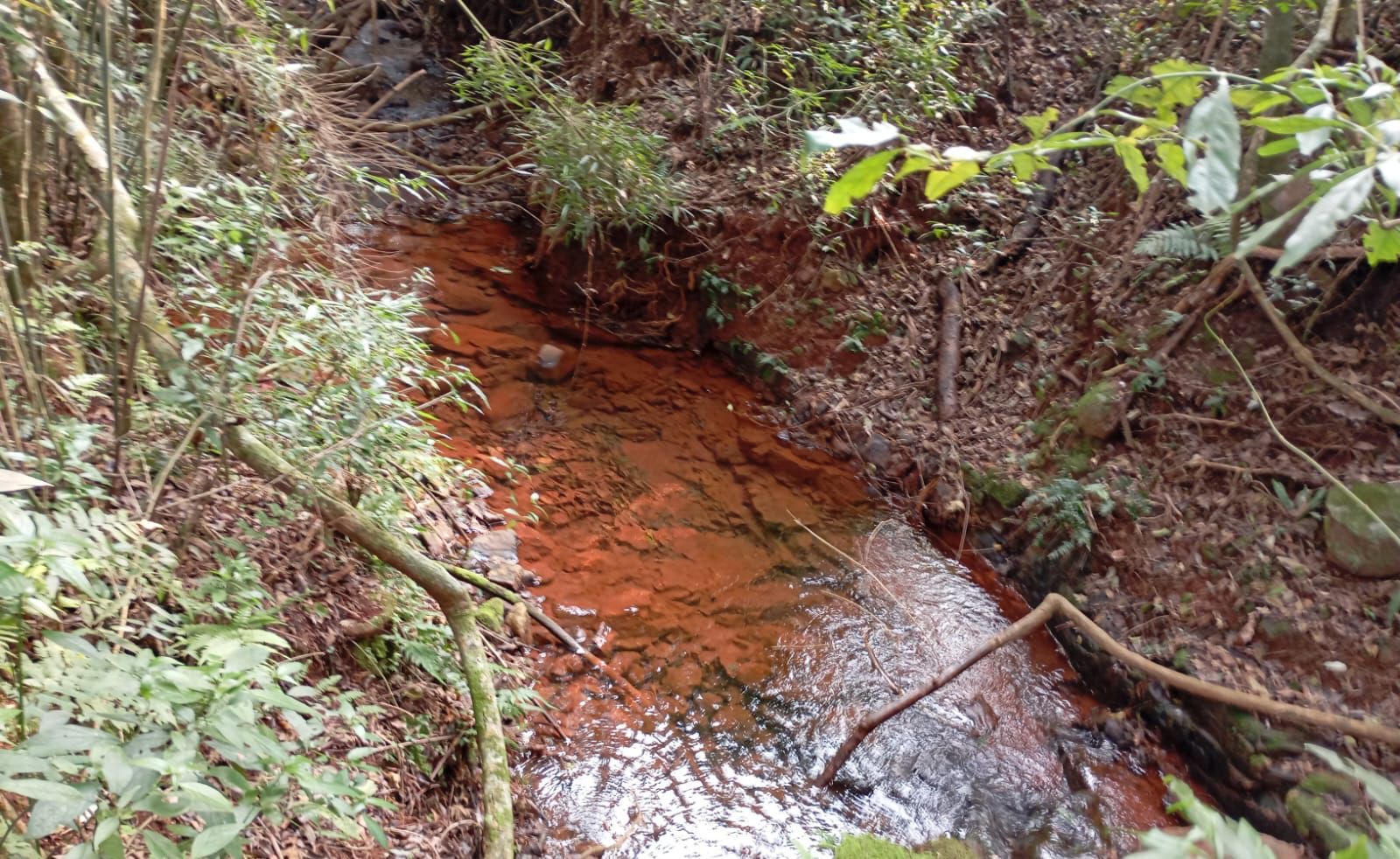 A Brigada Militar, por meio do 3º Batalhão Ambiental, identificou nesta quarta (28), crimes contra a flora nos municípios de Casca e Coxilha.