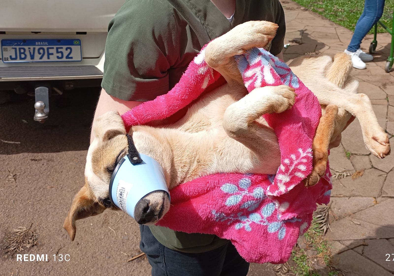 Um cachorrinho foi resgatado, nesta sexta-feira(27), no bairro Zachia, em Passo Fundo, pelos policiais militares do 3º BABM