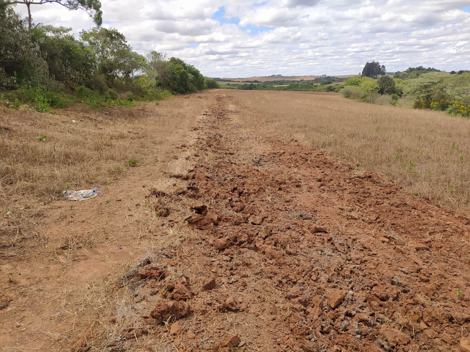 A Brigada Militar, através do 3º Batalhão Ambiental (BABM), constatou, nesta segunda-feira (21), crime de poluição em Passo Fundo