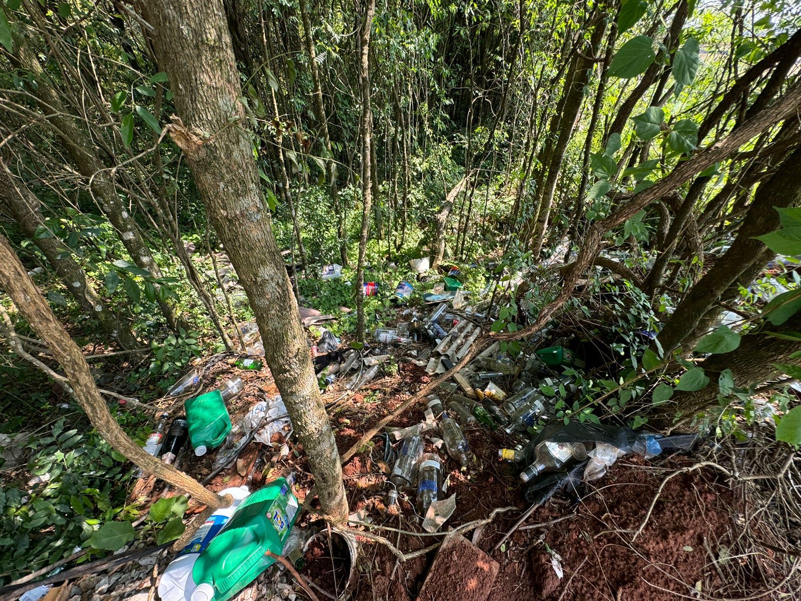 Brigada Militar autua estabelecimento comercial por crimes ambientais em Passo Fundo. Um TC foi confeccionado 