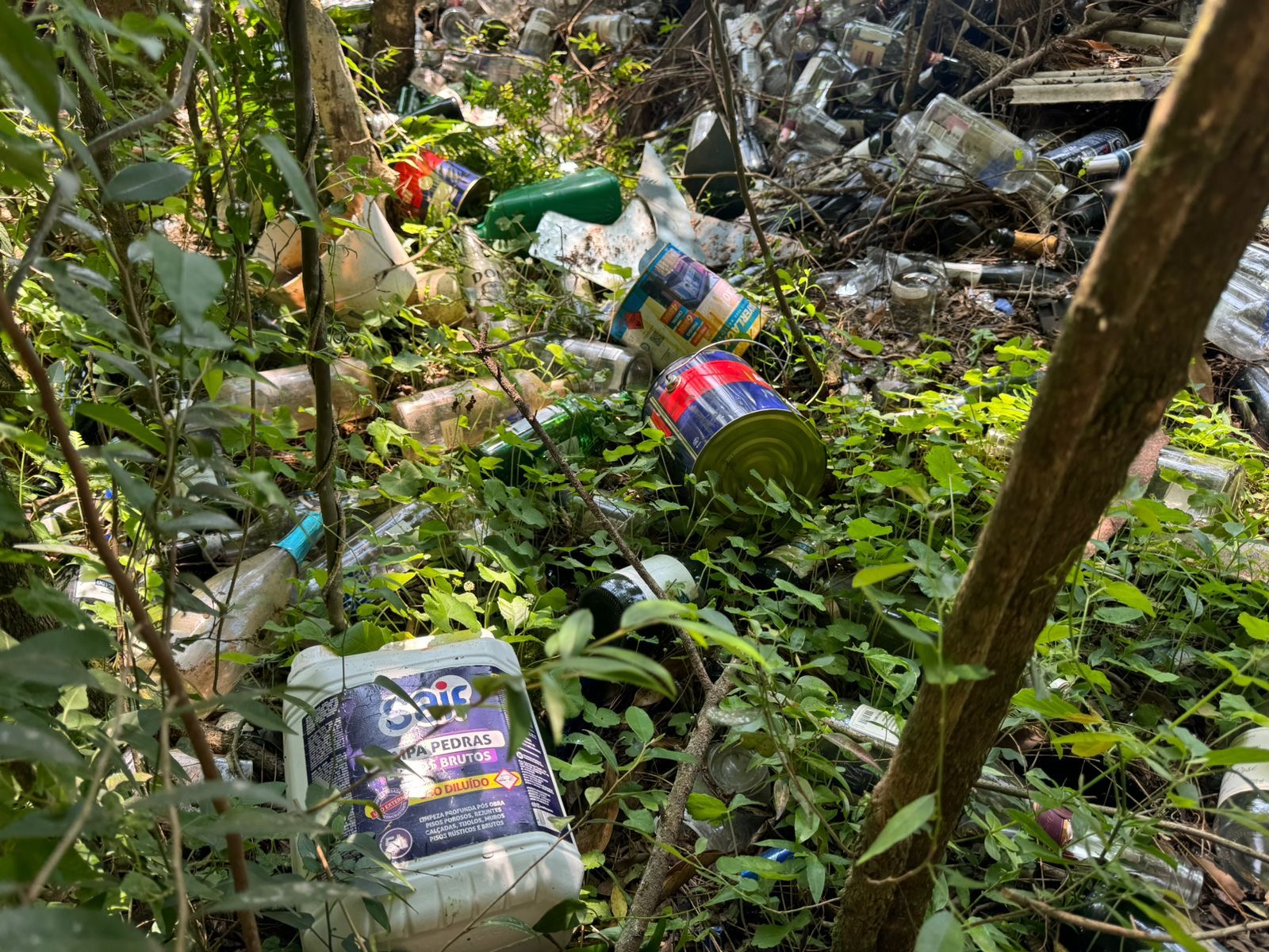 Brigada Militar autua estabelecimento comercial por crimes ambientais em Passo Fundo. Um TC foi confeccionado 