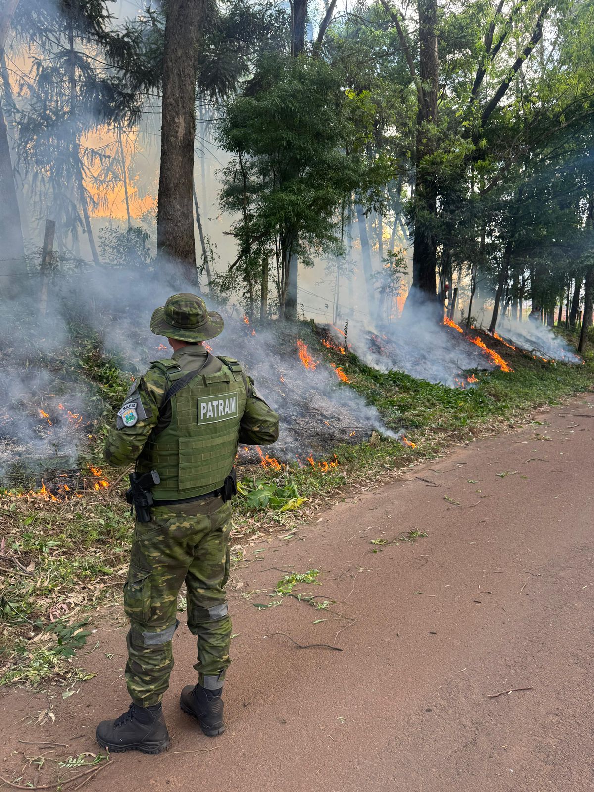 Brigada Militar, através do 3º Batalhão Ambiental (BABM), flagrou, nesta quinta-feira (31/10), incêndio em vegetação, no interior de Passo Fundo.
