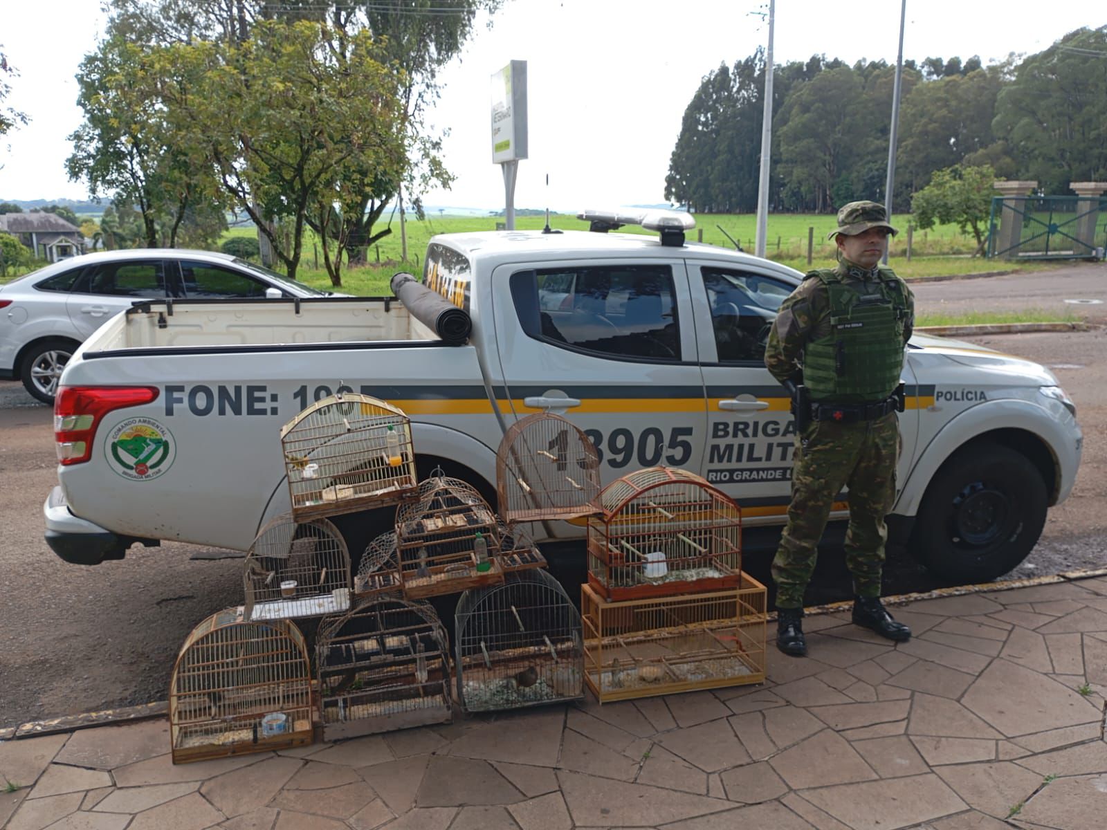 Brigada Militar, por meio do 3º Batalhão Ambiental, realizou Operação de fiscalização e combate a pássaros silvestres mantidos em cativeiro