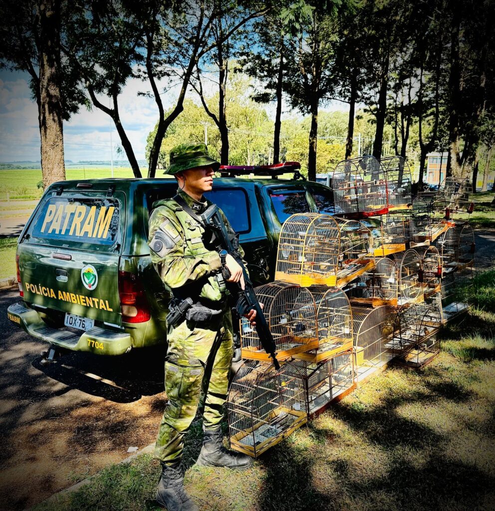 Brigada Militar flagra pássaros silvestres mantidos em cativeiro em Passo Fundo